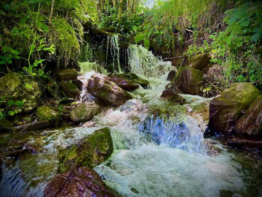 Bergerie De Lasariberes Gazost  Bagian luar foto